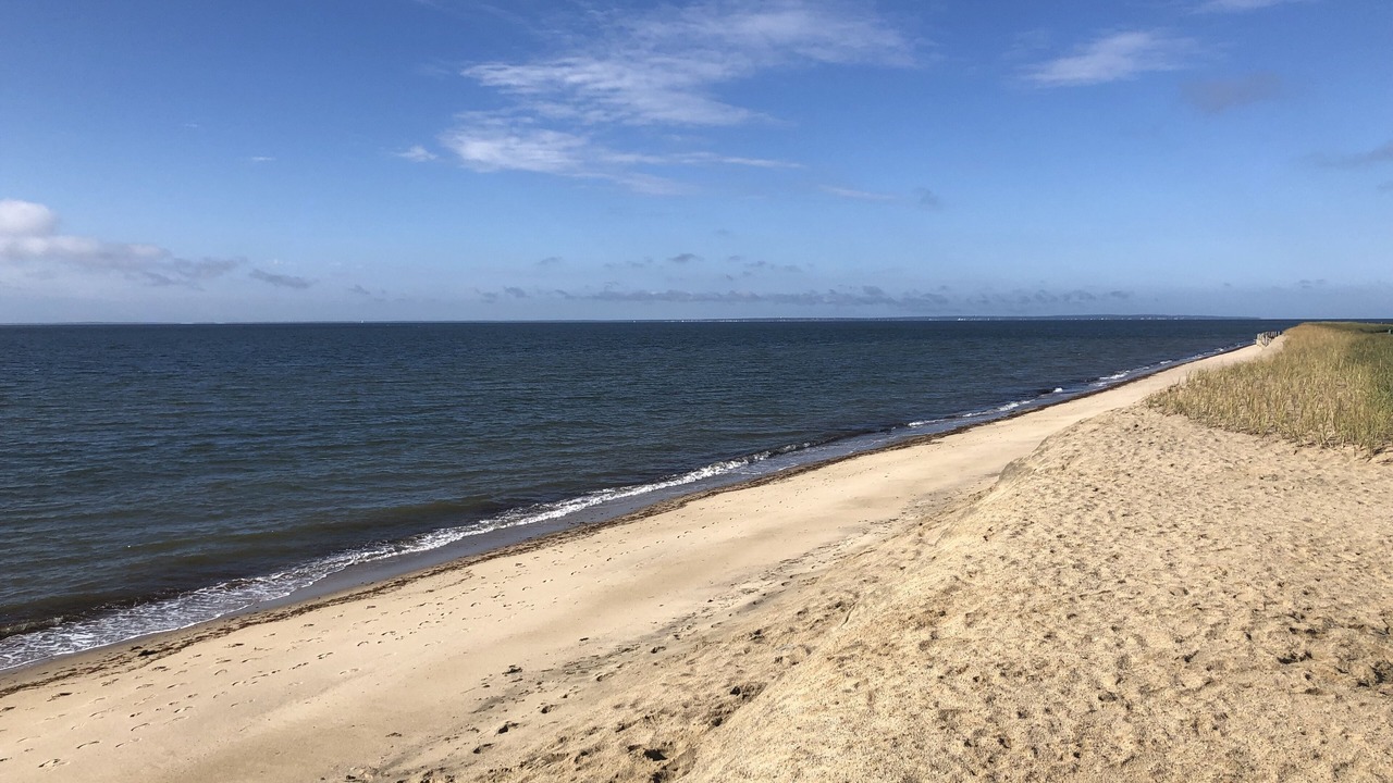 Photo of Outdoor in Mews Village