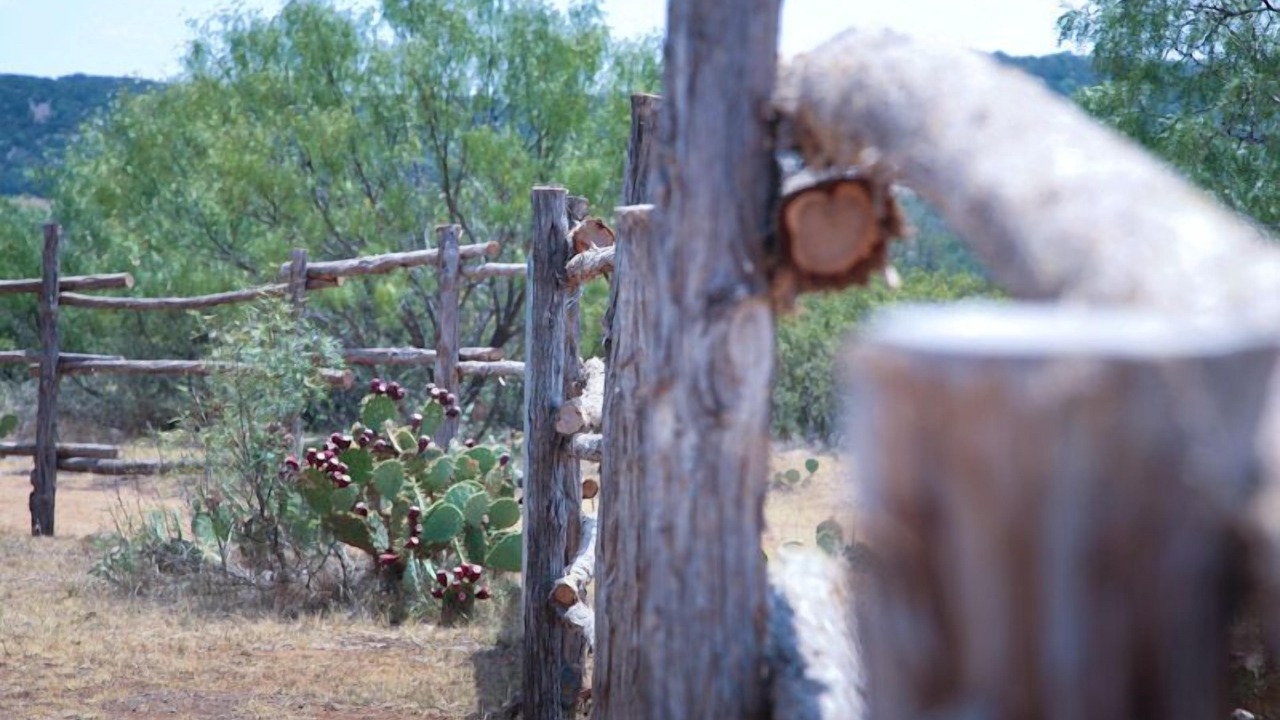 Photo of Outdoor in Fredericksburg