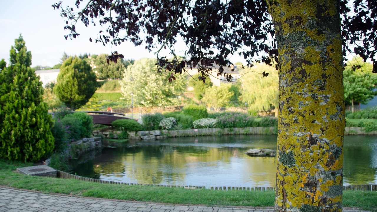 Photo of Outdoor in Villefranche-de-Panat