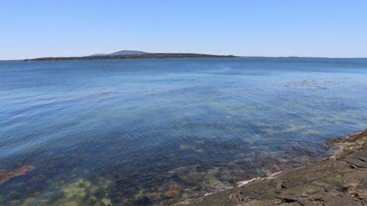 Photo of Others in Brooklin