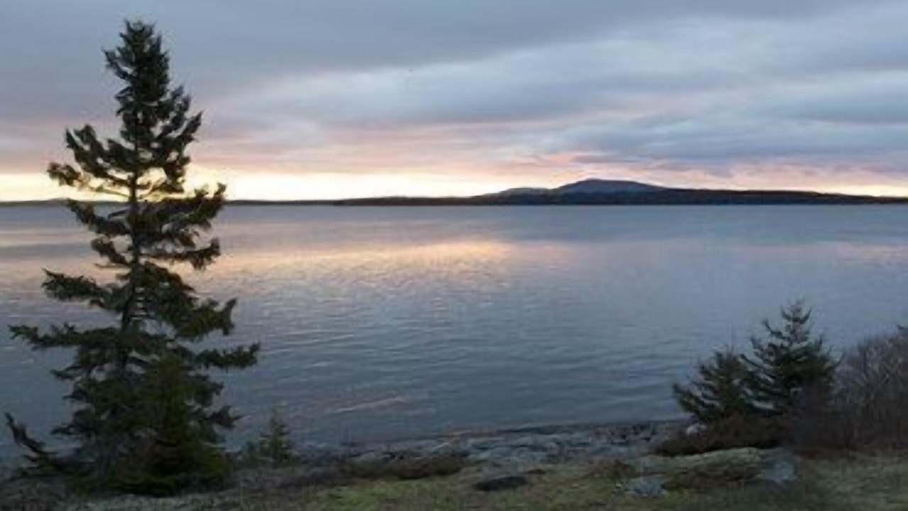 Photo of Others in Brooklin