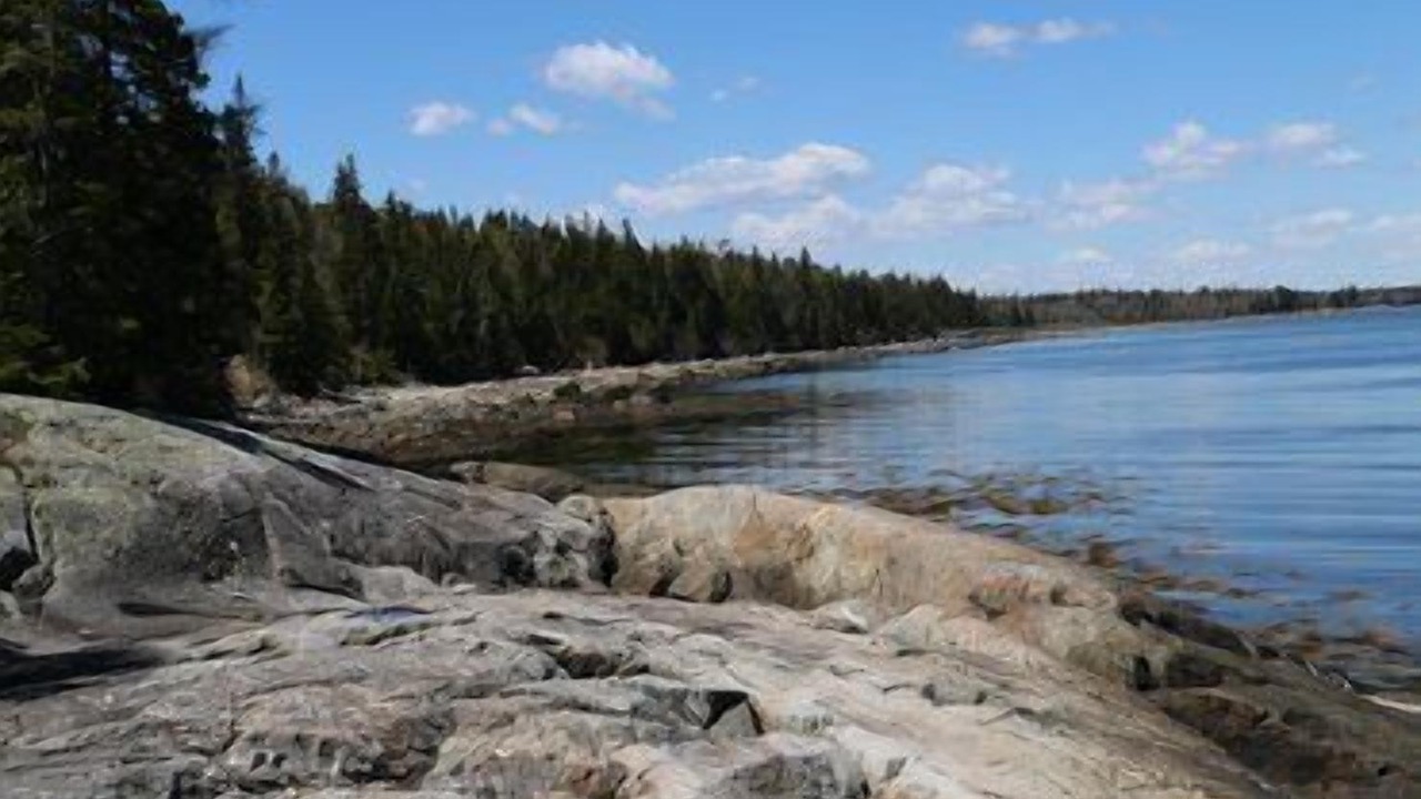 Photo of Others in Brooklin