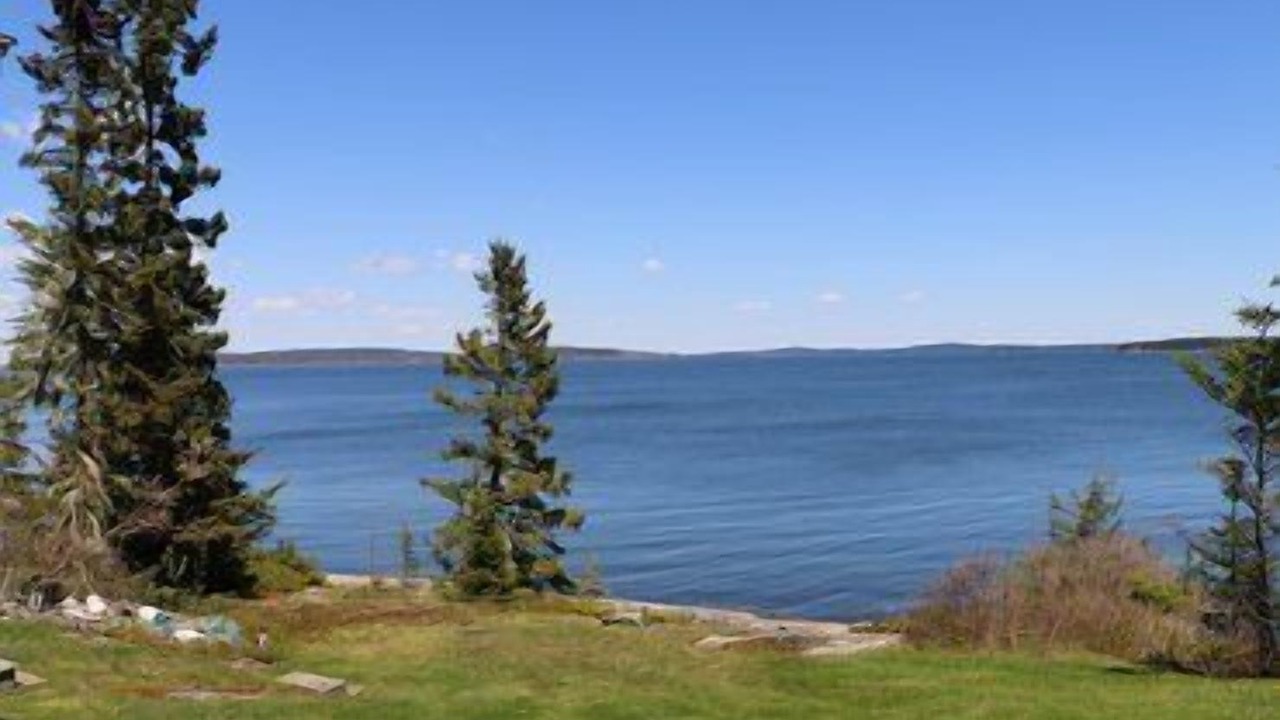 Photo of Outdoor in Brooklin