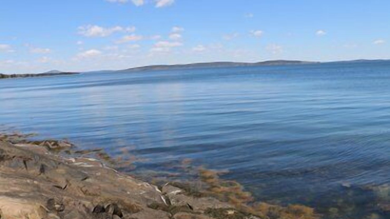 Photo of Others in Brooklin