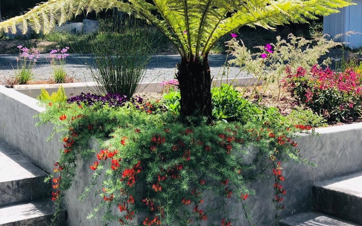 Photo of Outdoor in Little River