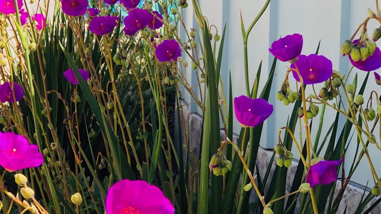 Photo of Outdoor in Little River