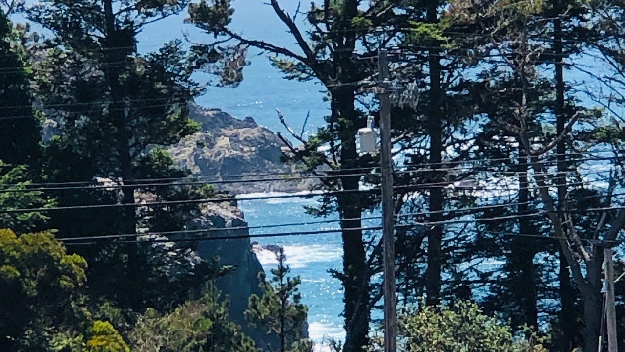 Photo of Outdoor in Little River