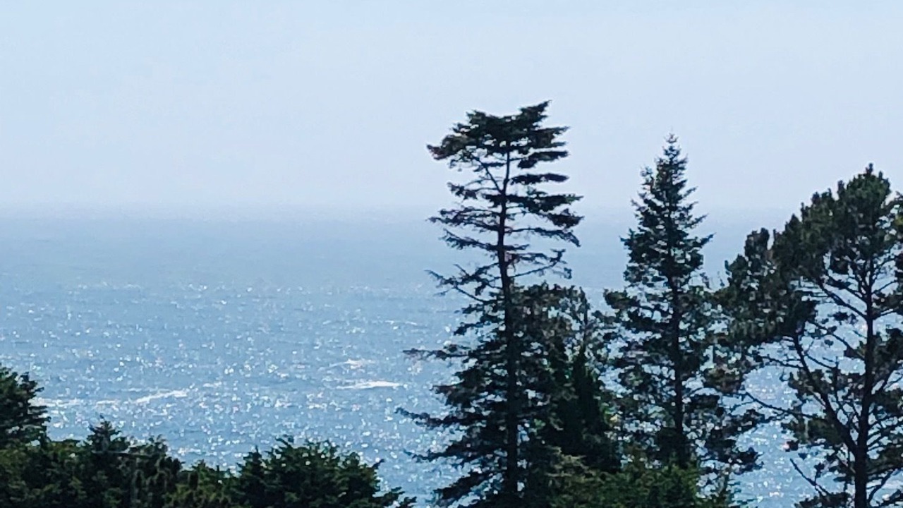 Photo of Outdoor in Little River