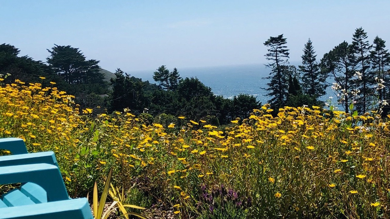 Photo of Outdoor in Little River