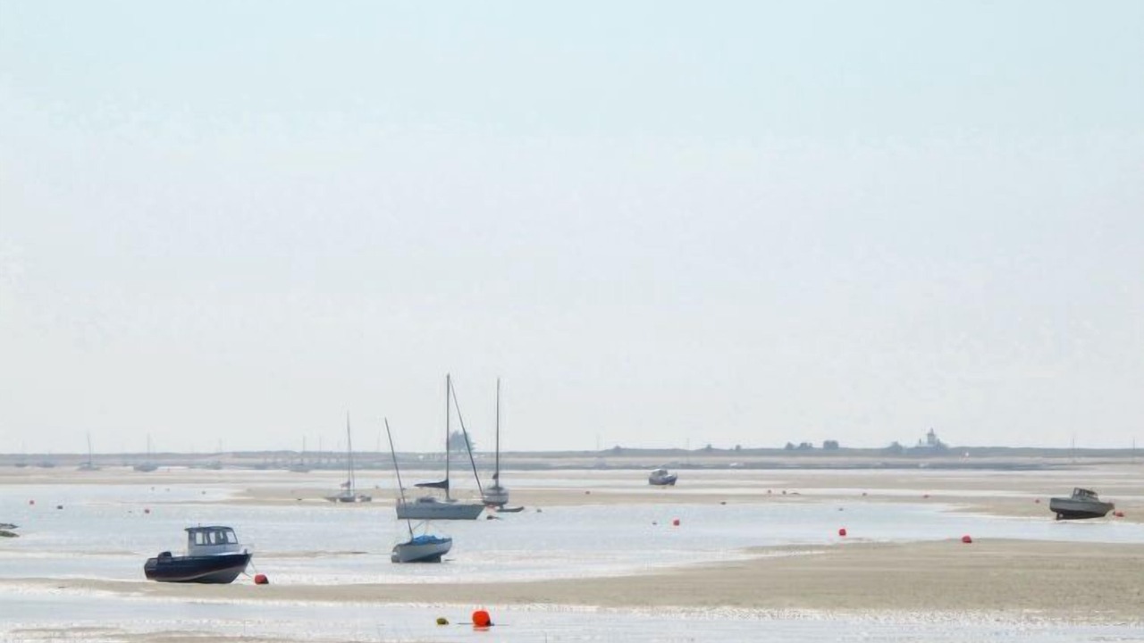 Photo of Others in Regnezville-sur-Mer