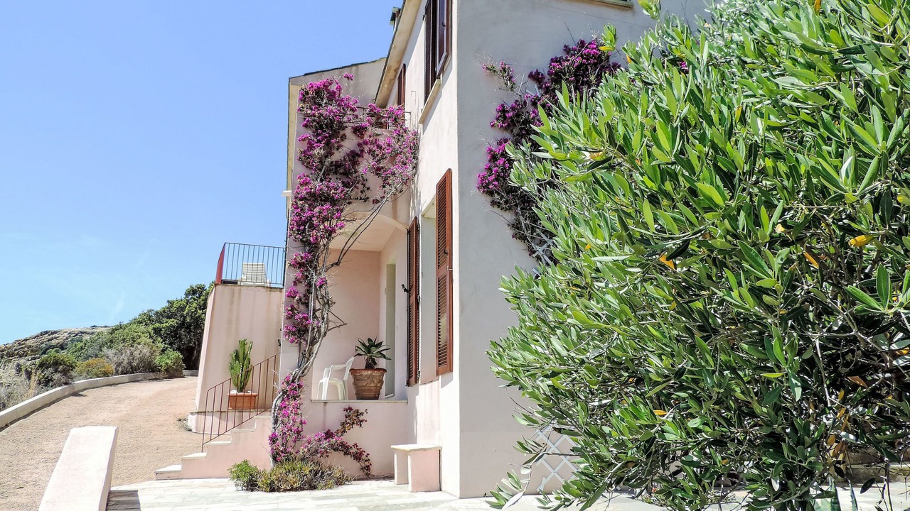 Photo of Outdoor in Canari