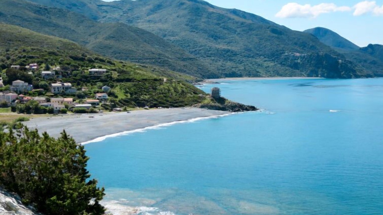 Photo of Others in Canari