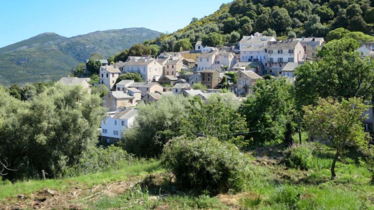 Photo of Outdoor in Canari