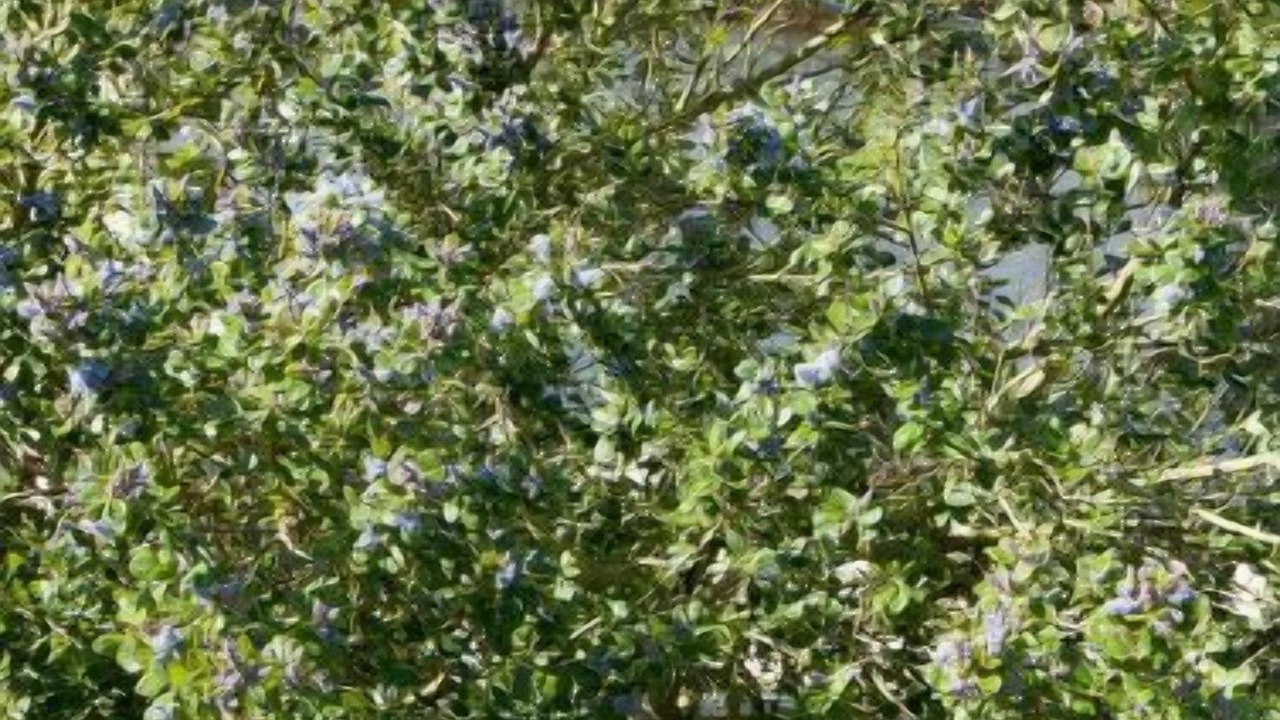 Photo of Others in Longues-sur-Mer