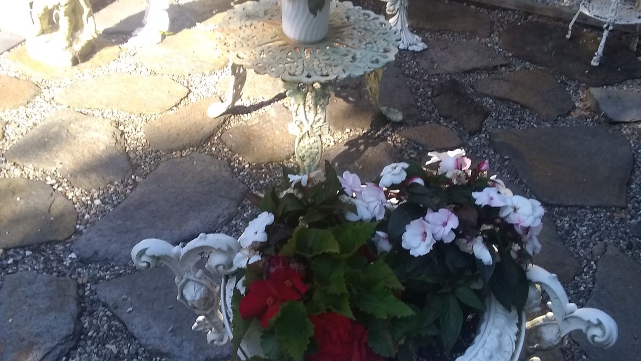 Photo of Outdoor in Stockbridge