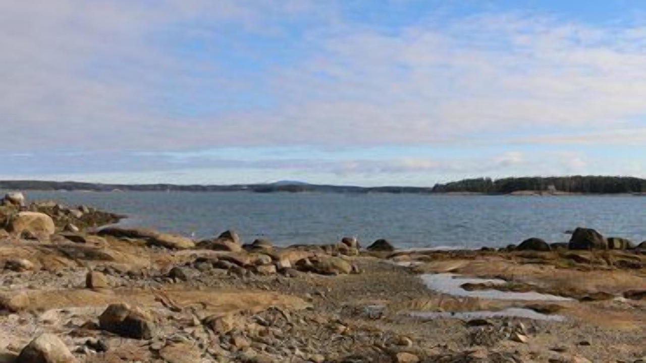 Photo of Others in Deer Isle