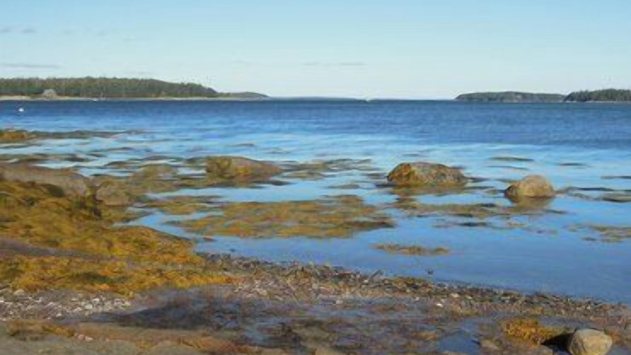 Photo of Others in Deer Isle