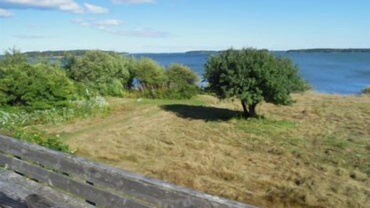 Photo of Others in Deer Isle