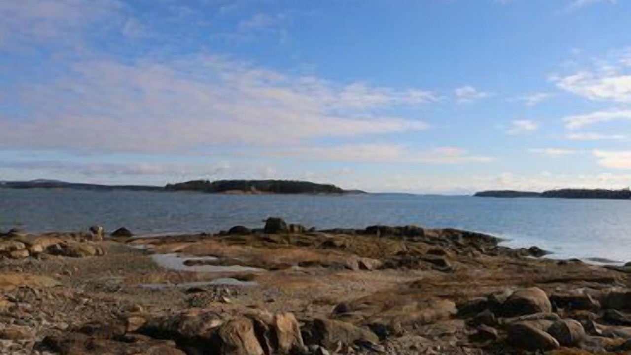 Photo of Others in Deer Isle