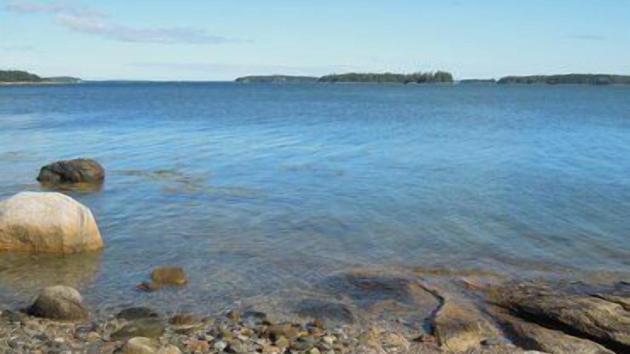 Photo of Others in Deer Isle