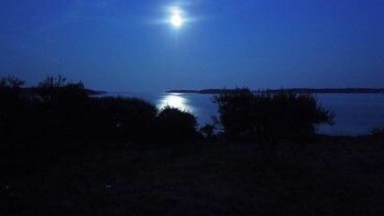 Photo of Others in Deer Isle