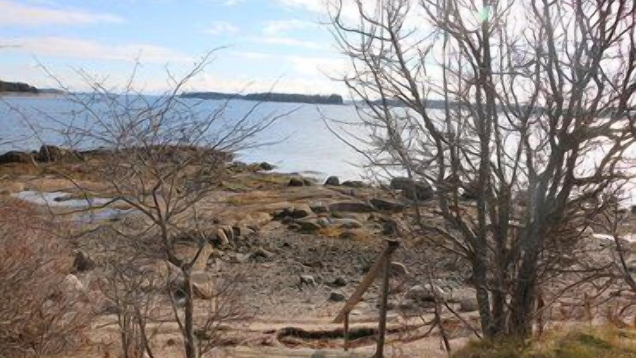 Photo of Outdoor in Deer Isle