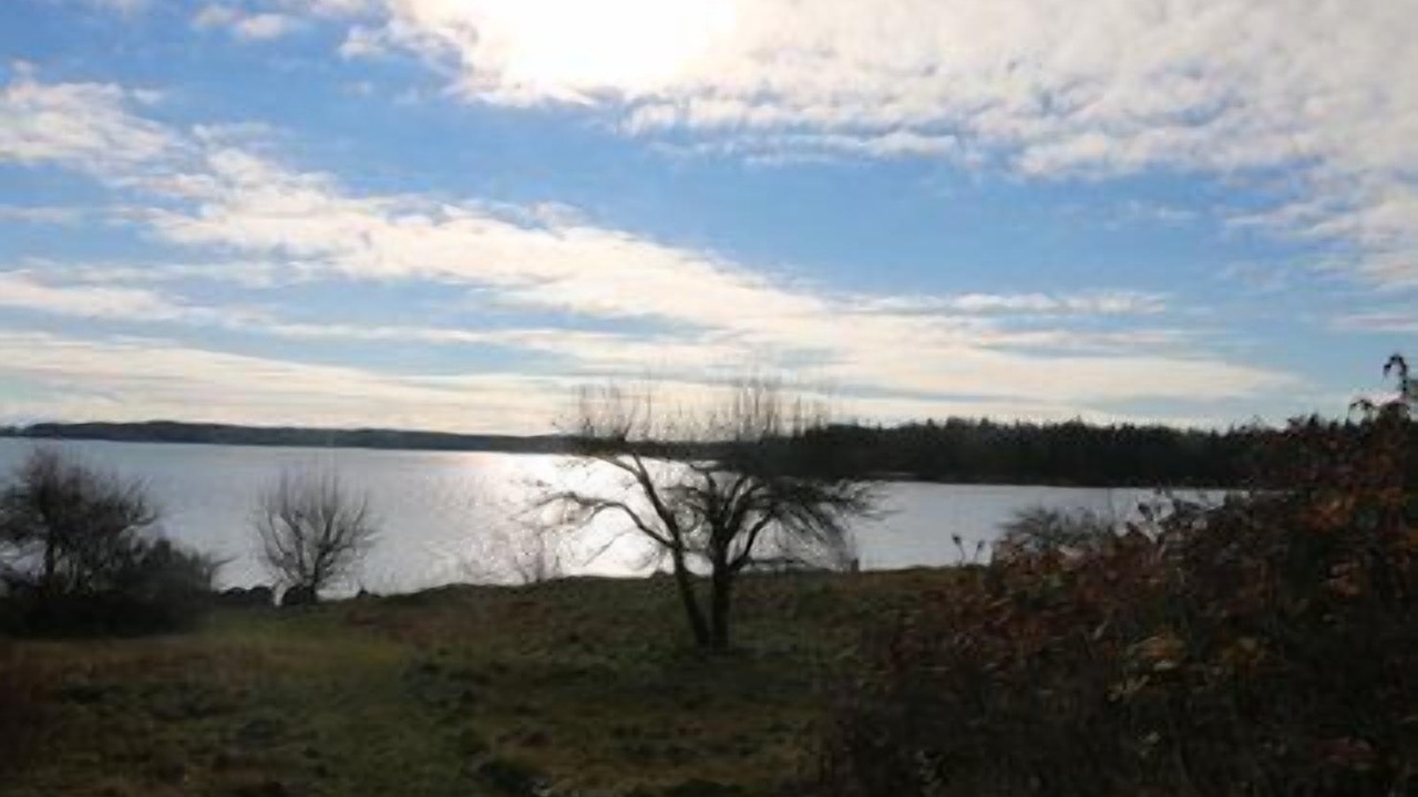 Photo of Others in Deer Isle