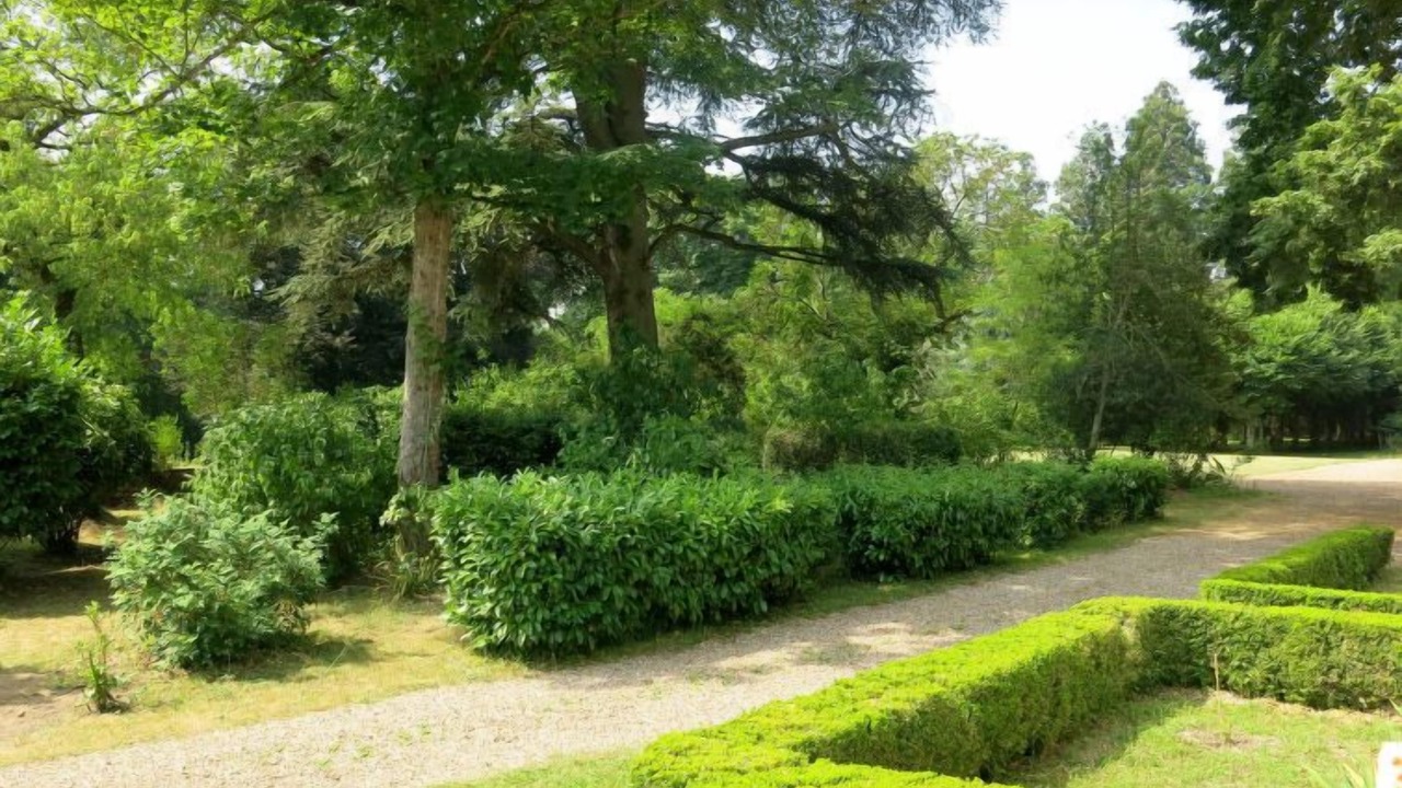 Photo of Outdoor in Onzain