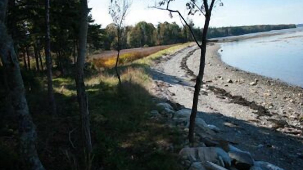 Photo of Others in Deer Isle