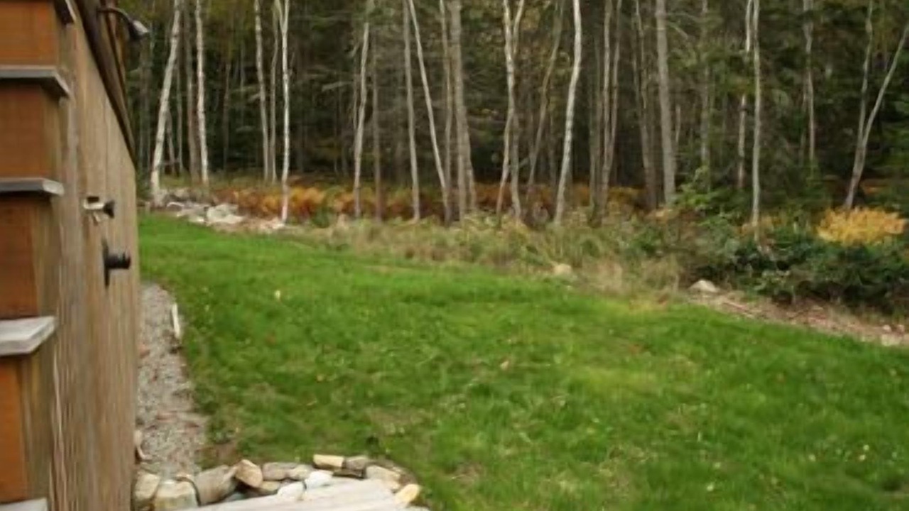 Photo of Outdoor in Deer Isle