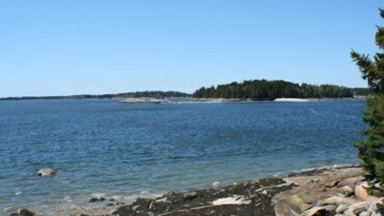 Photo of Others in Brooklin