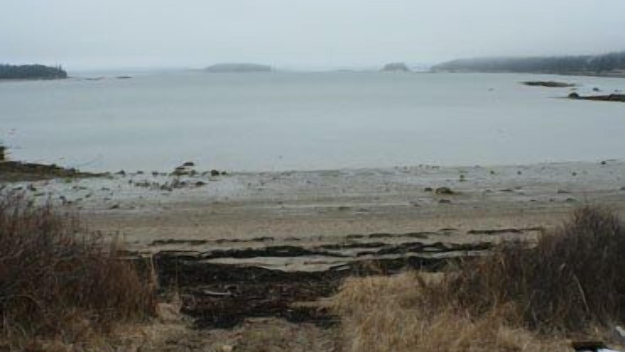 Photo of Others in Brooklin