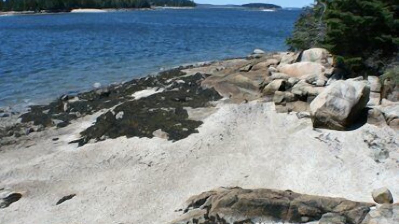 Photo of Others in Brooklin