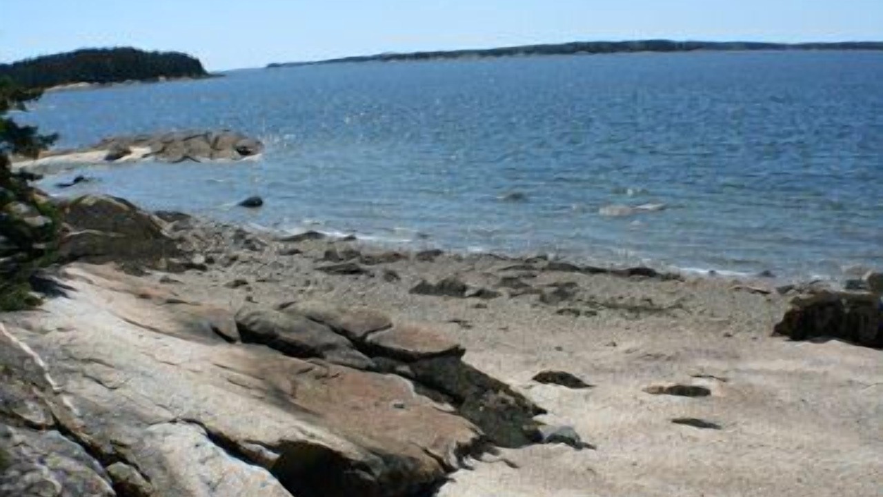 Photo of Others in Brooklin