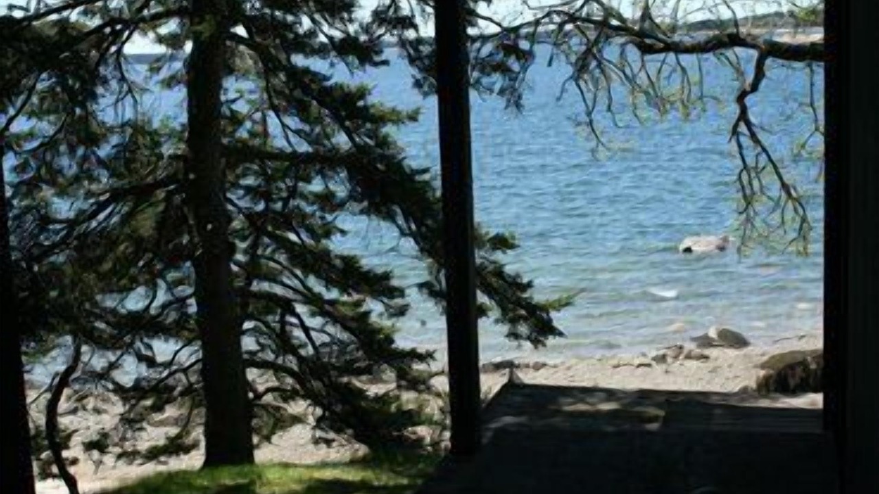 Photo of Others in Brooklin