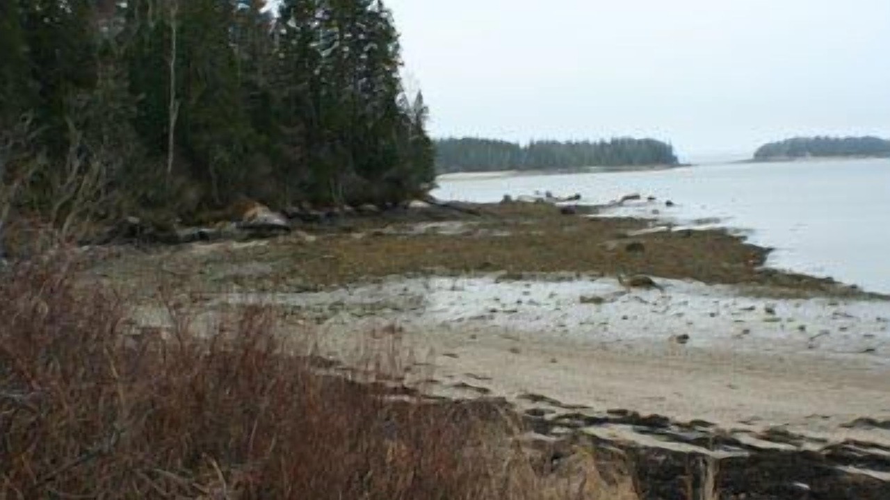 Photo of Others in Brooklin