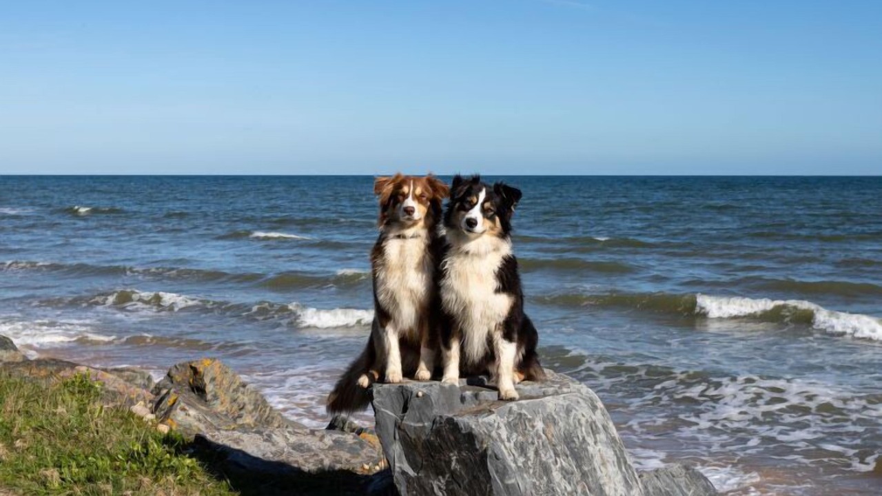 Photo of Others in Saint-Laurent-sur-Mer