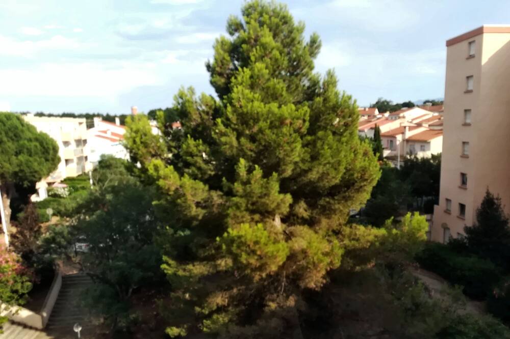 Photo of Outdoor in Saint-Martin