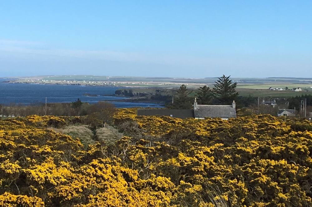 Photo of Others in Brough