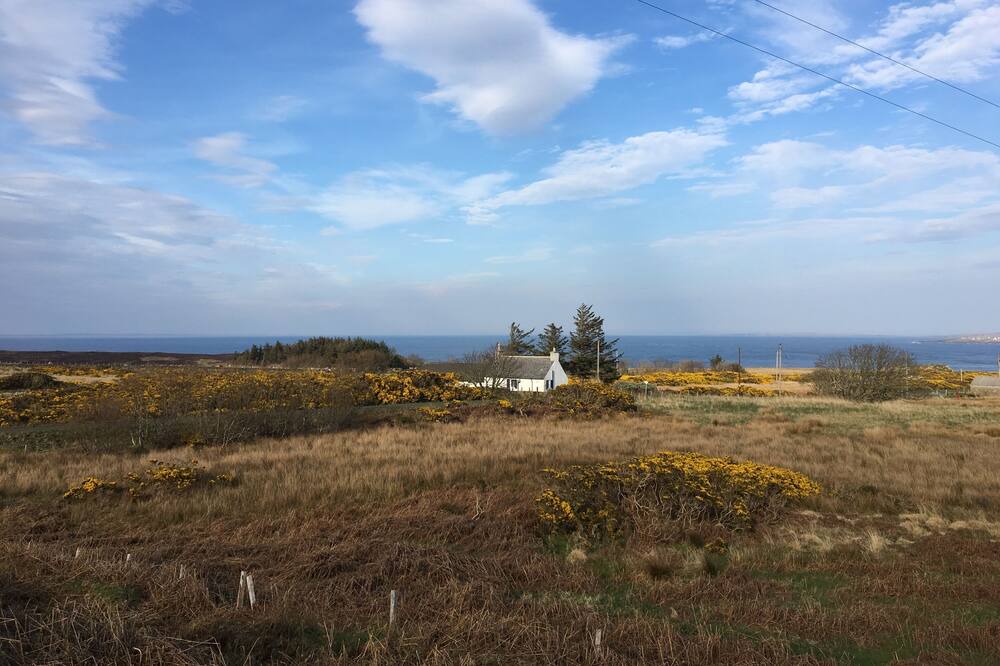 Photo of Others in Brough