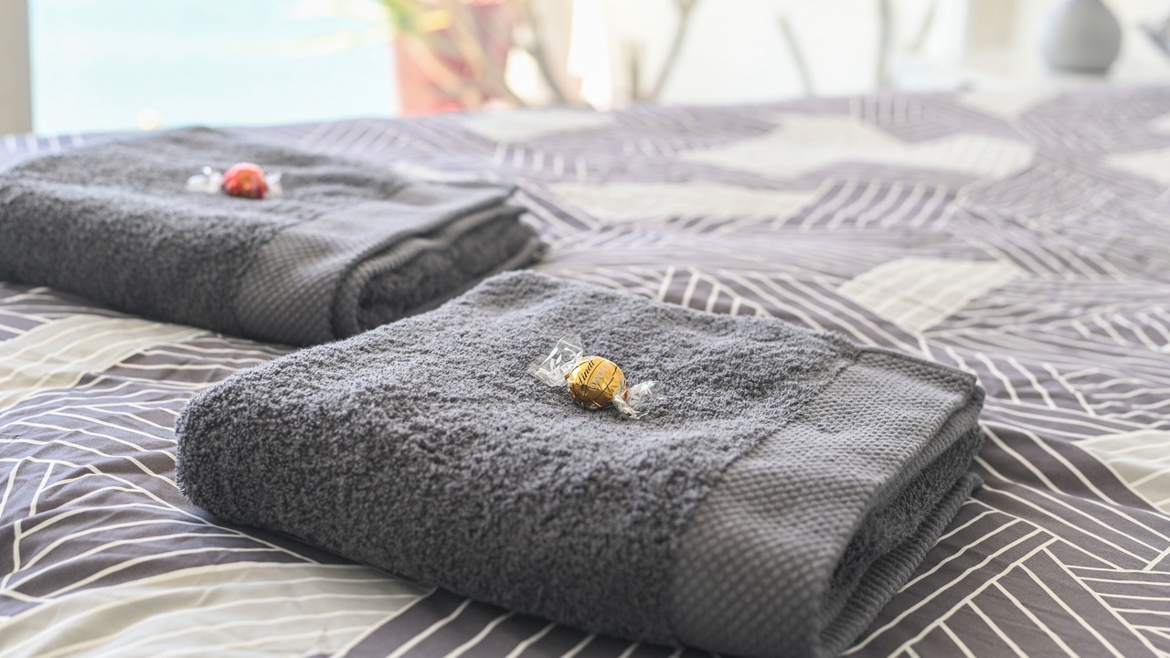 Photo of Others in Collaroy Beach