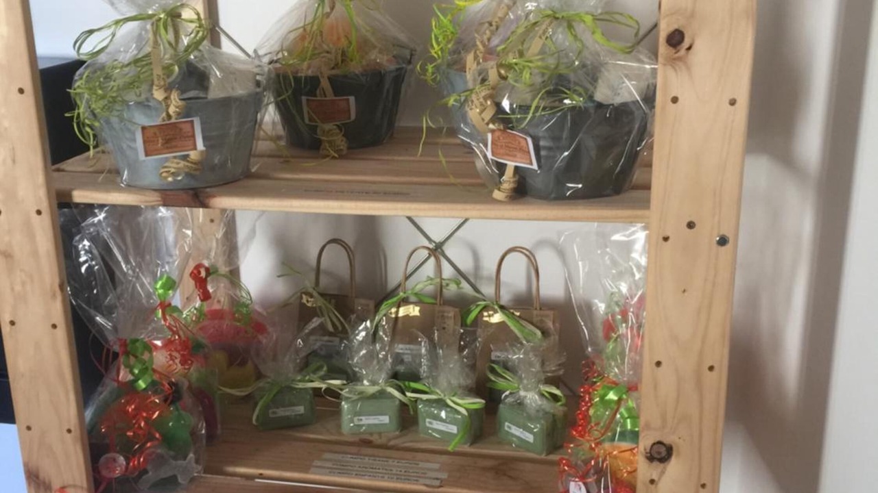 Photo of Others in Volonne