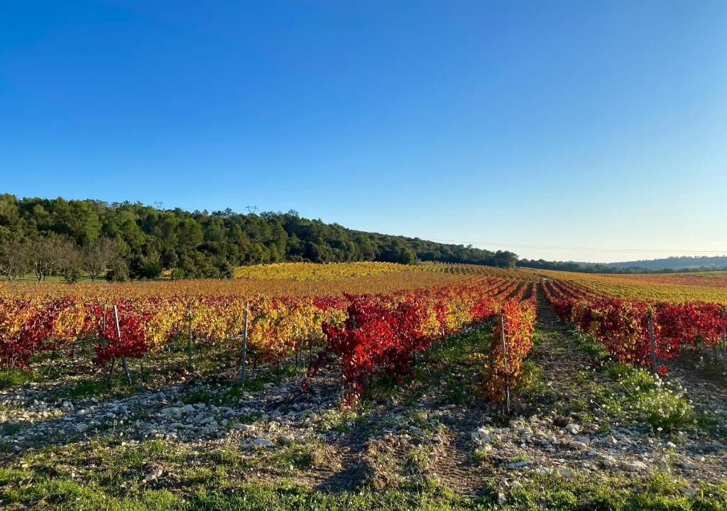 Photo of Outdoor in Mondragon