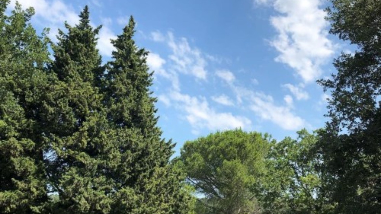 Photo of Outdoor in Mondragon