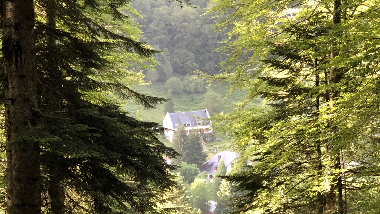 Photo of Others in Bagneres-de-Bigorre