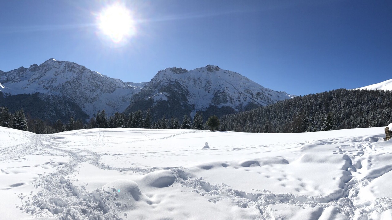 Photo of Others in Bagneres-de-Bigorre