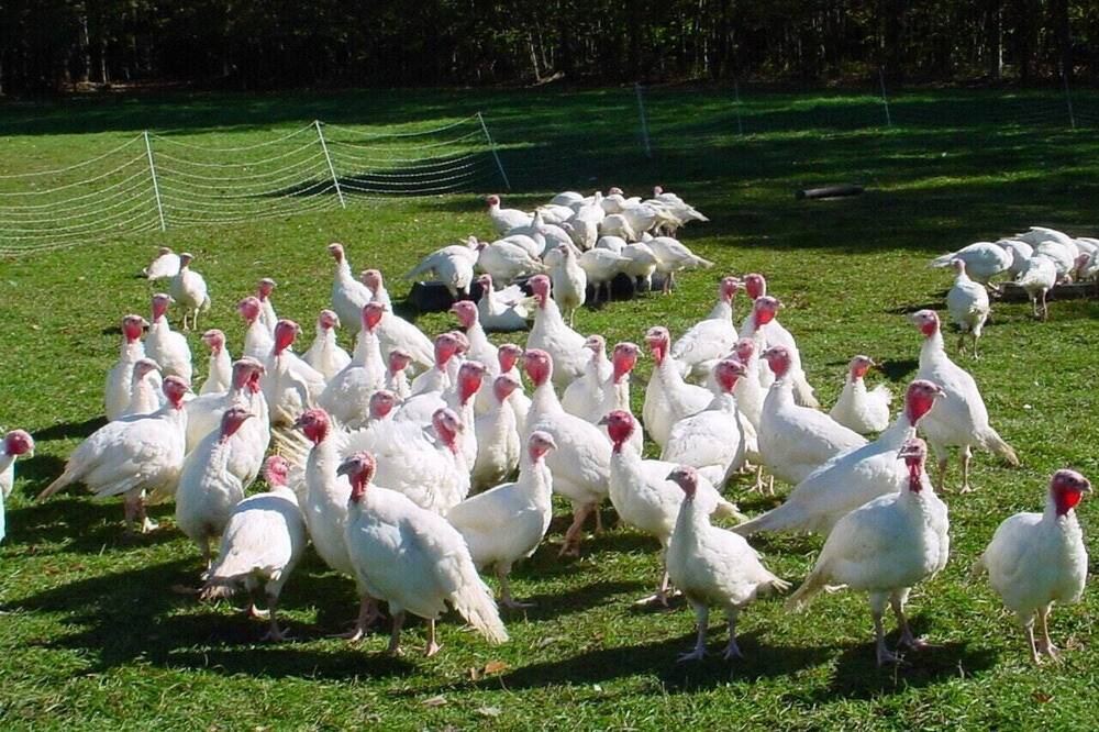 Photo of Others in Town of Fulton