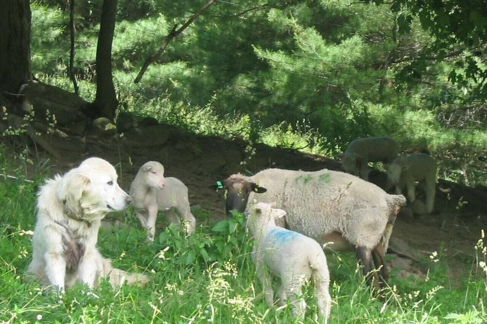 Photo of Others in Town of Fulton