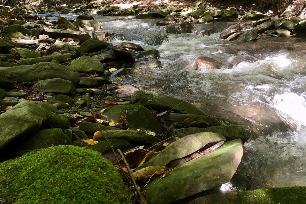 Photo of Outdoor in Town of Fulton