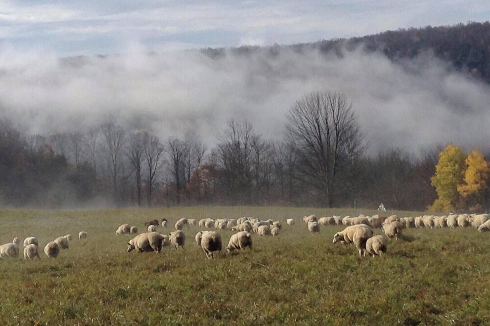 Photo of Others in Town of Fulton
